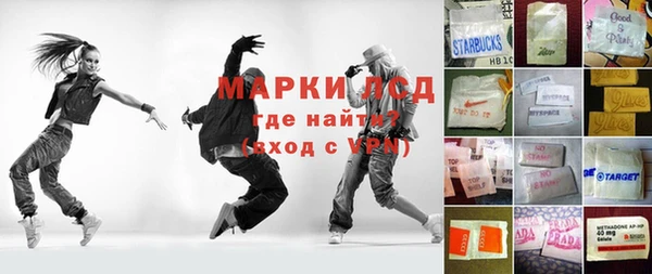 сатива Алзамай