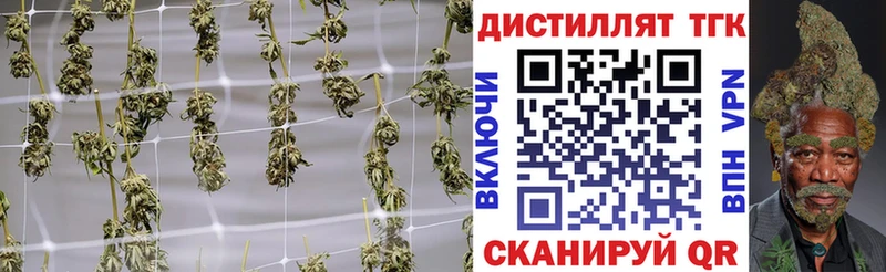 цены   гидра вход  ТГК концентрат  Ревда 
